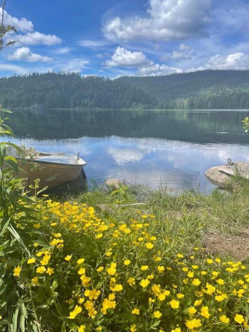 Sjarmerende Hus I Vennesla Eksteriør billede